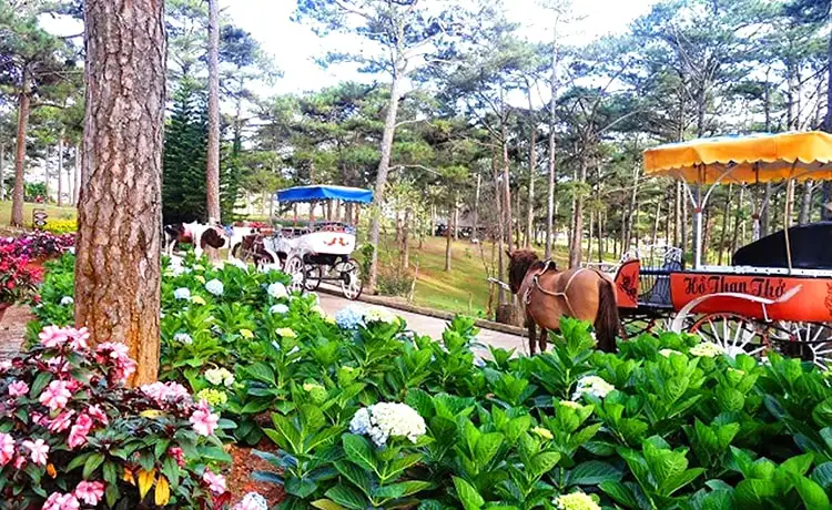 làng hoa hồ than thở đà lạt