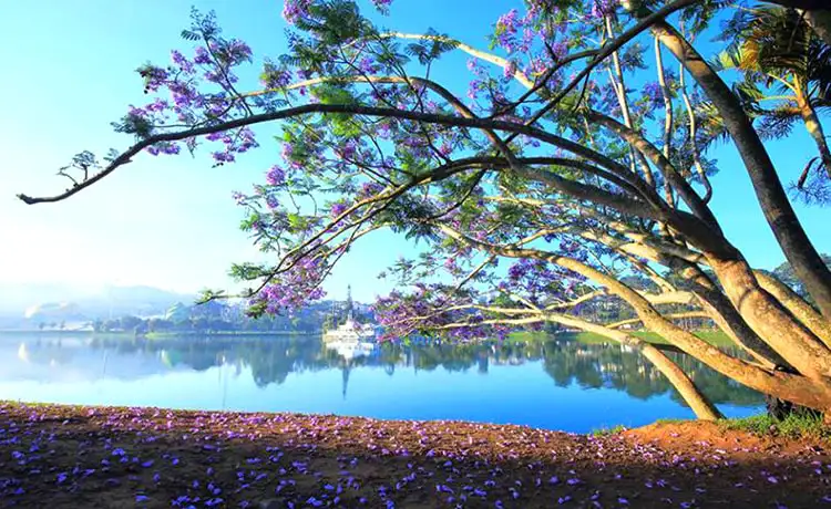 hồ xuân hương đà lạt