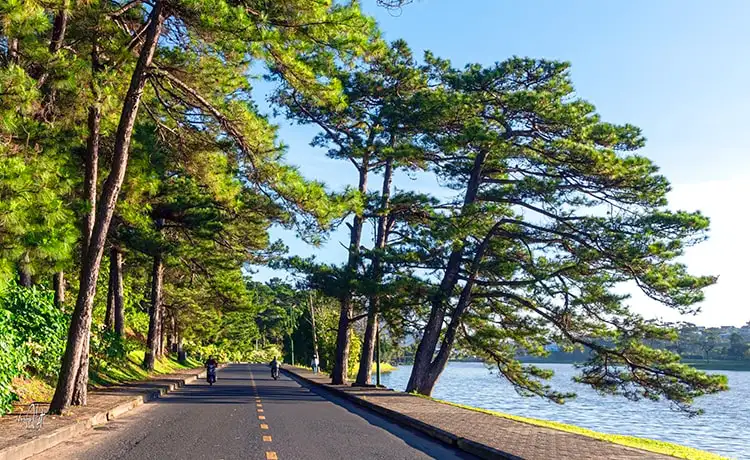 dạo quanh hồ xuân hương đà lạt