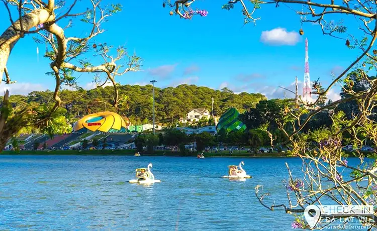 đạp vịt hồ xuân hương đà lạt