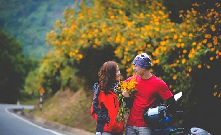 mùa hoa dã quỳ đà lạt