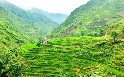 Hoàng Su Phì - Điểm đến Hà Giang