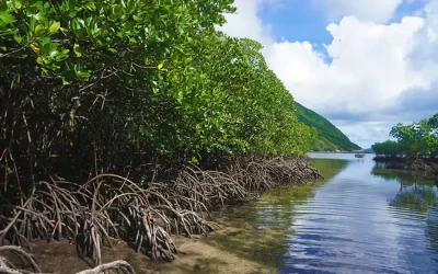 Hòn Bảy Cạnh - Du lịch côn Đảo
