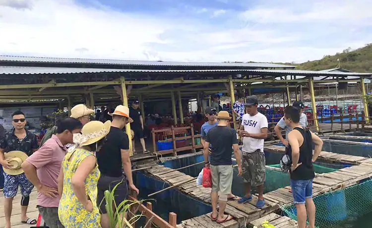 du lịch hòn miễu nha trang