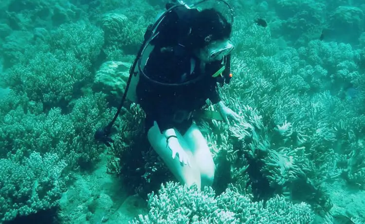 du lịch hòn mun nha trang