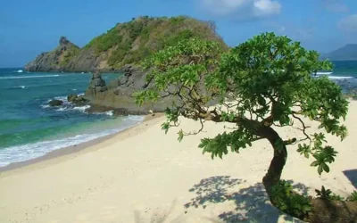 Hòn Tre Nhỏ - Du lịch Côn Đảo