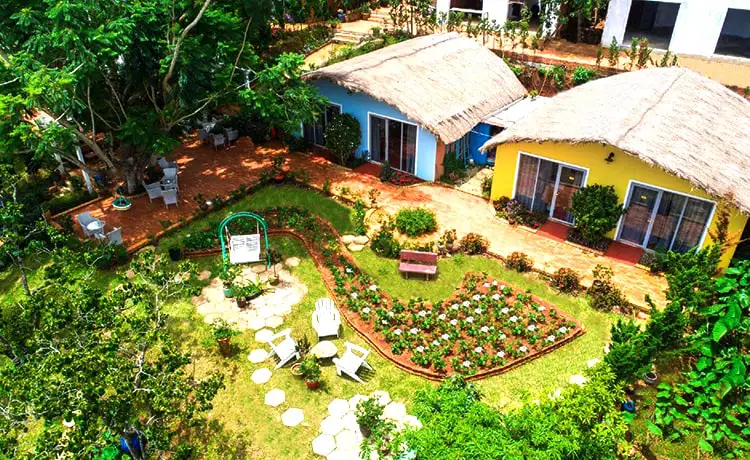 Cocoon Bungalow Đà Lạt