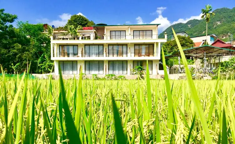 khách sạn mai châu green rice field
