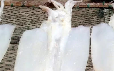 Khô mực một nắng Nam Du