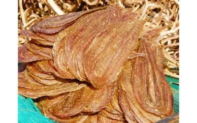 Khô Rắn - Đặc sản Đồng Tháp