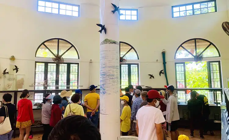 khu bảo tồn biển cù lao chàm