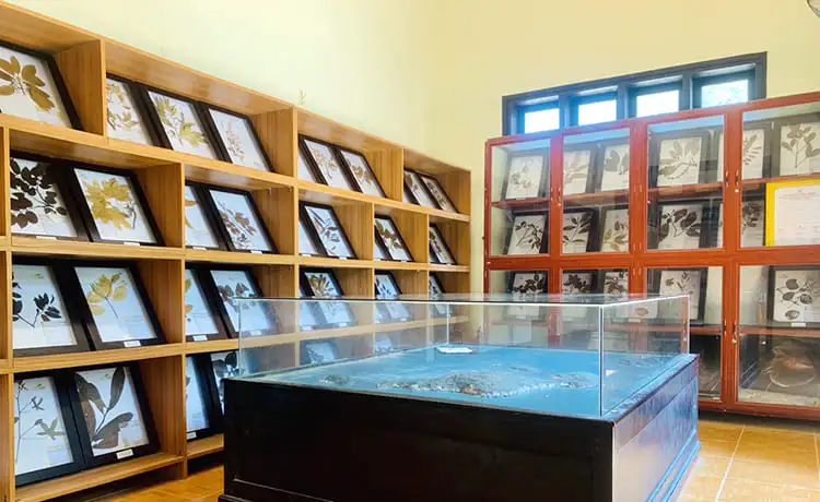 khu bảo tồn biển cù lao chàm