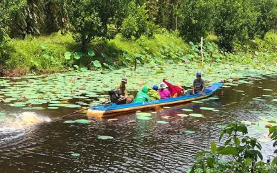 Khu Du Lịch Cà Mau - Điểm đến Cà Mau