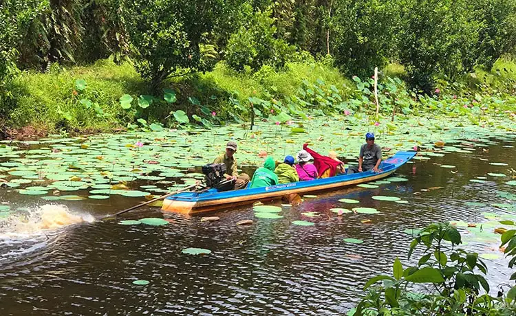 tour cần thơ mỹ tho bến tre sóc trăng cà mau bạc liêu 4 ngày 3 đêm