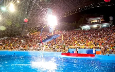 Khu du lịch đảo Tuần Châu - Du lịch Hạ Long