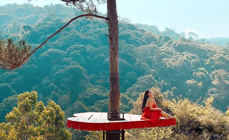 khu du lịch hoa sơn điền trang đà lạt