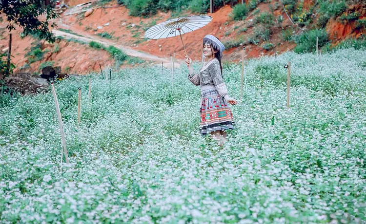 khu du lịch hoa sơn điền trang đà lạt