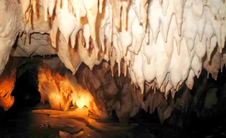 động nham hao kênh gà ninh bình