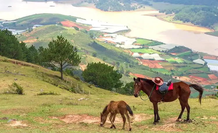 tour langbiang thác datanla hồ vô cực đà lạt 1 ngày