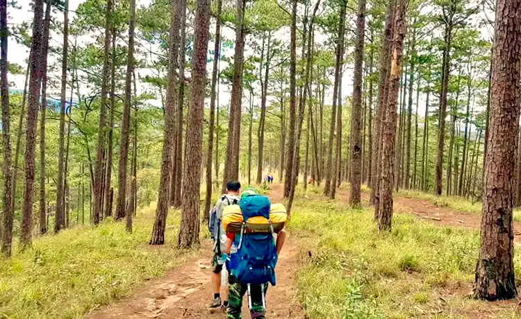 khu du lịch núi langbiang đà lạt