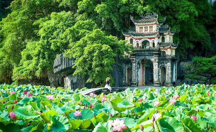 tam cốc bích động ninh bình tam cốc bích động ninh bình