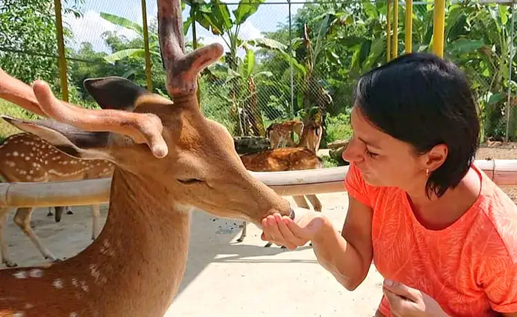 khu du lịch thác yang bay nha trang