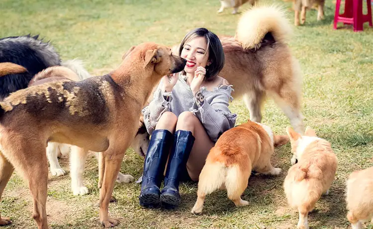 khu vườn thú cưng trại mát đà lạt