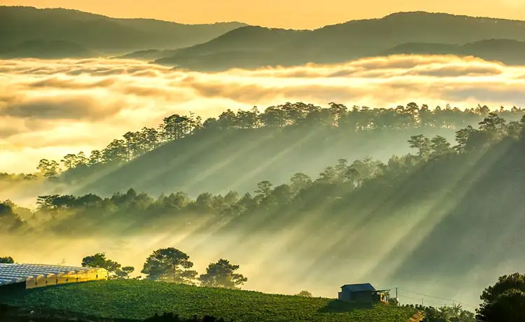 săn mây trại mát đà lạt