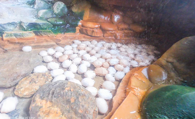 tour du lịch đà nẵng 2 ngày 1 đêm núi thần tài