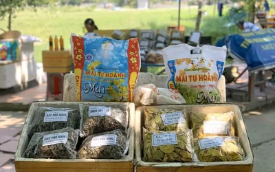 Lá rừng Cù Lao Chàm - Đặc sản Cù Lao Chàm