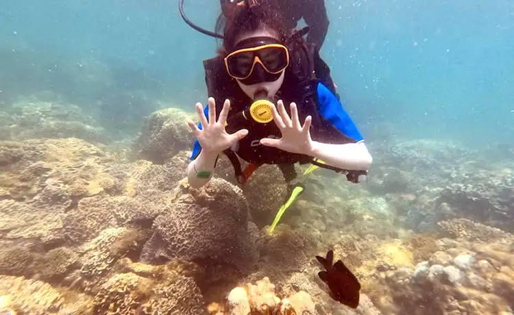 tour du lịch cù lao chàm 1 ngày câu cá lặng ngắm san hô