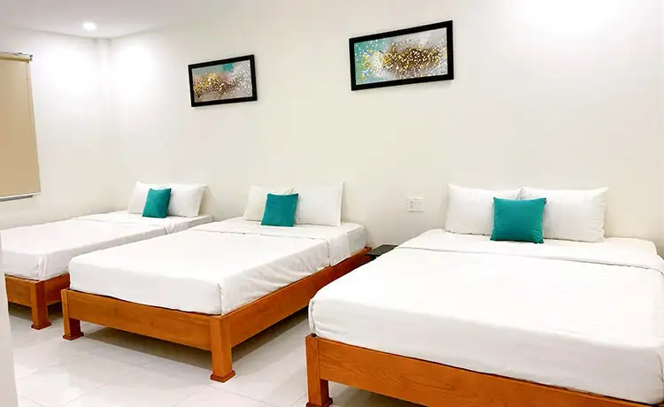 tour du lịch bình hưng 2 ngày 1 đêm tour du lịch bình hưng 2 ngày 1 đêm