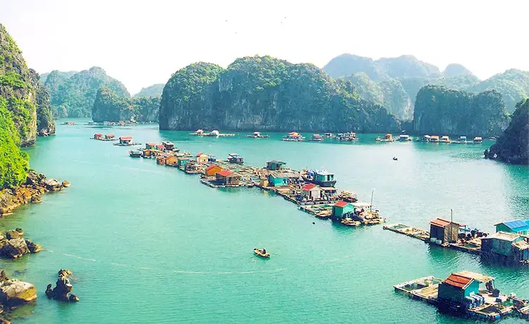 tour du lịch vịnh hạ long tour du lịch vịnh hạ long