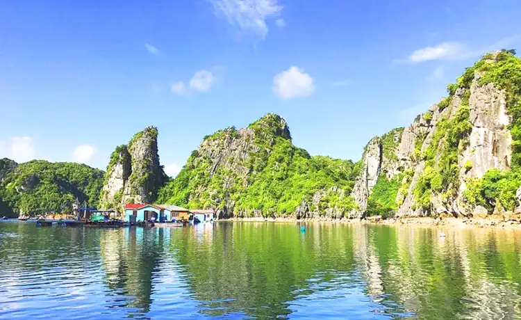 tour du lịch vịnh hạ long tour du lịch vịnh hạ long