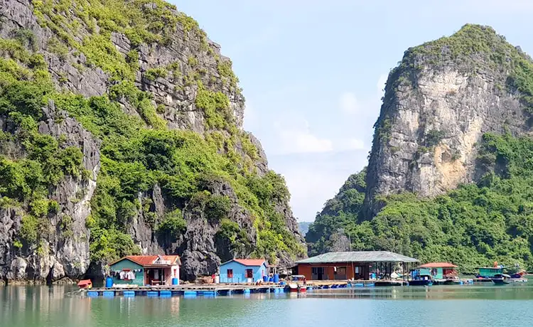 làng chài vung viêng vịnh hạ long