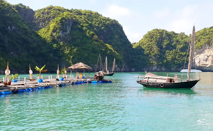 làng chài vung viêng vịnh hạ long
