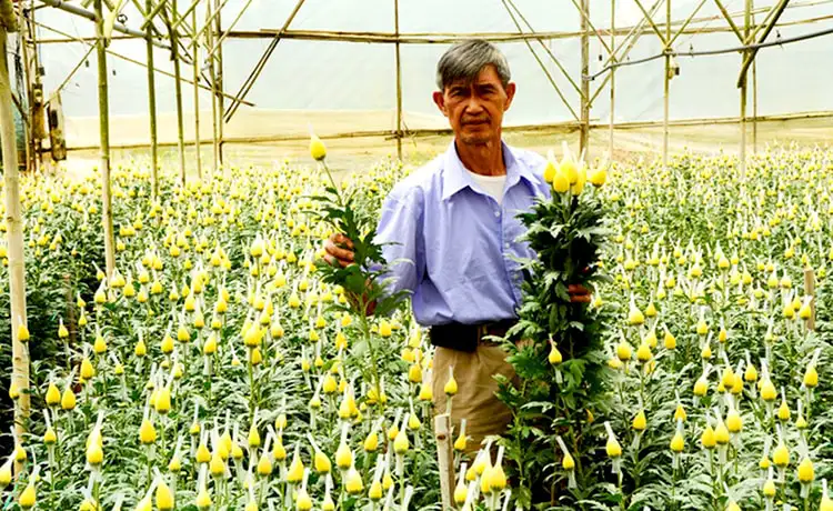 làng hoa hà đông đà lạt