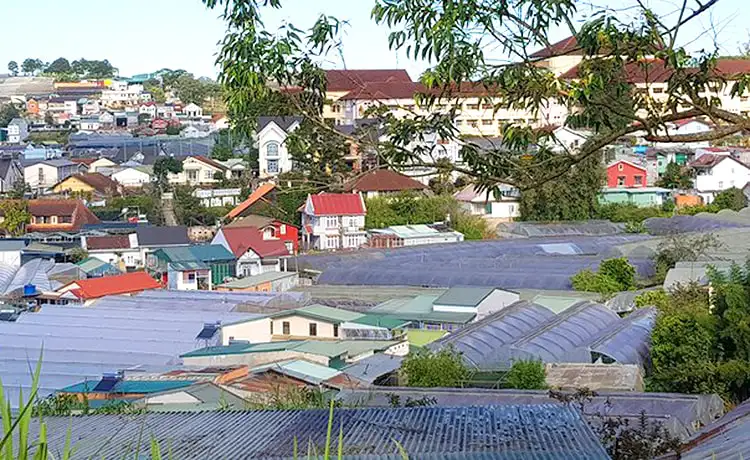 làng hoa hà đông đà lạt