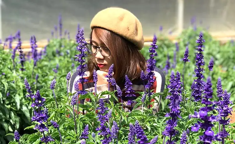 làng hoa hà đông đà lạt