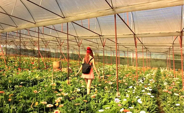 tour langbiang vườn dâu đà lạt 1 ngày