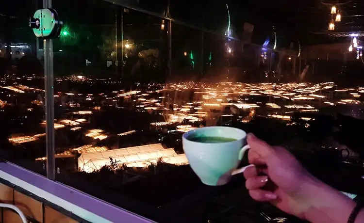 ngắm làng hoa thái phiên đà lạt về đêm