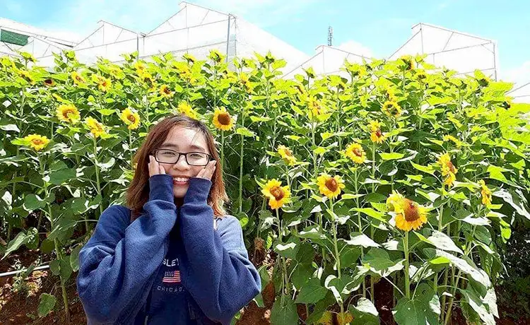 làng hoa vạn thành đà lạt