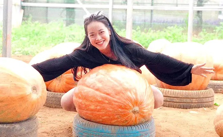 làng hoa vạn thành đà lạt