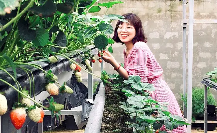 làng hoa vạn thành đà lạt