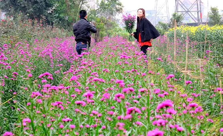 tour du lịch đà lạt 3 ngày 2 đêm