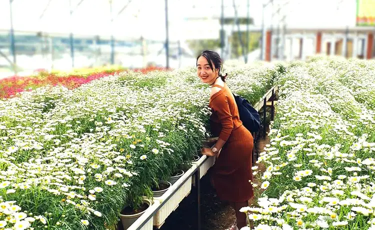 làng hoa vạn thành đà lạt