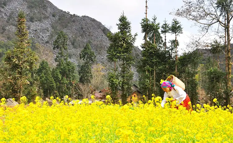 làng lao xa hà giang làng lao xa hà giang