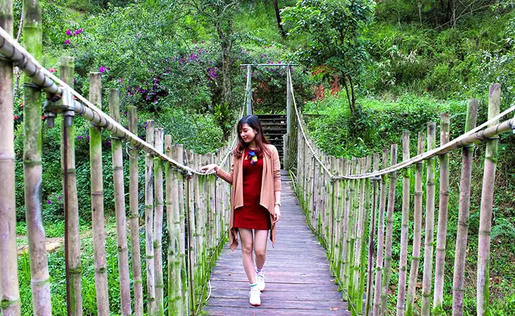 khu du lịch ma rừng lữ quán đà lạt