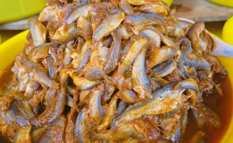 tour châu đốc hà tiên cần thơ 4 ngày 3 đêm