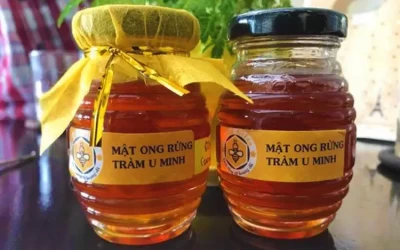 Mật Ong Rừng U Minh - Đặc Sản Cà Mau